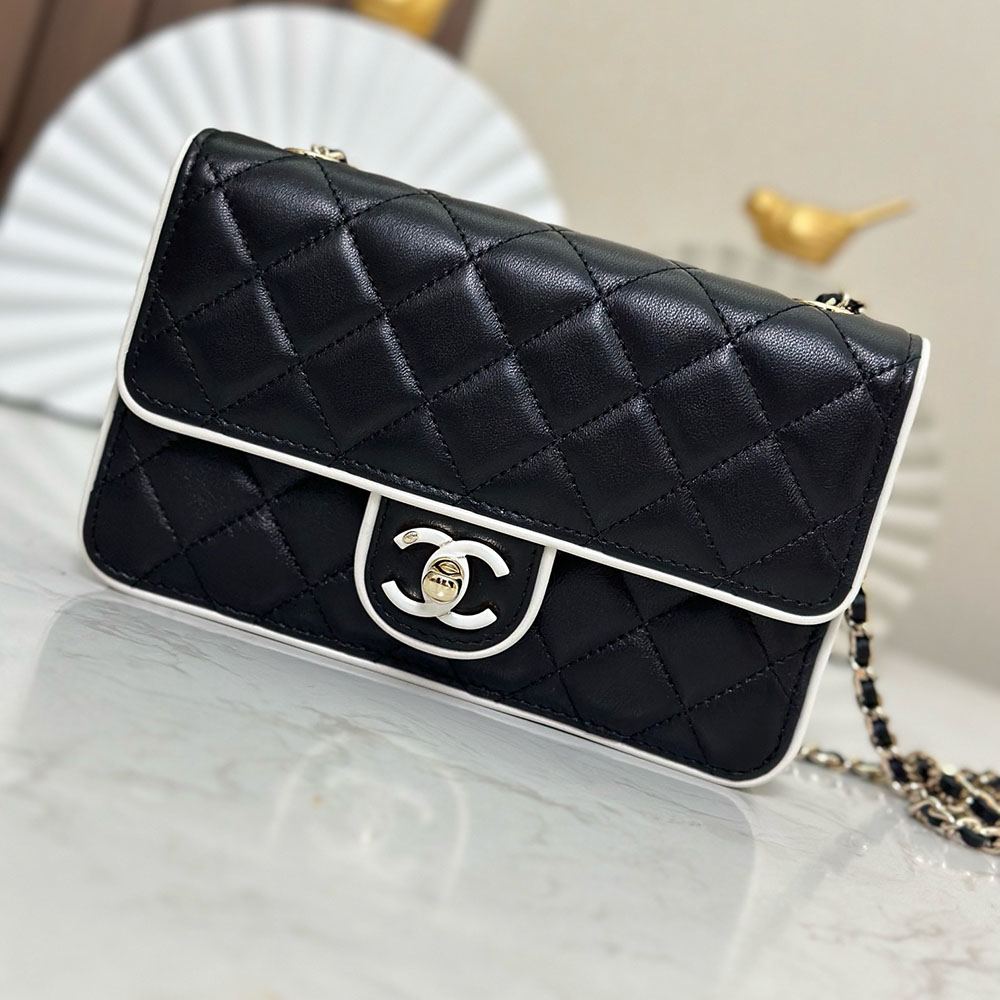CHANEL スーパーコピー チェーンウォレット バイカラー バッグ AP4511 - 商品画像 4