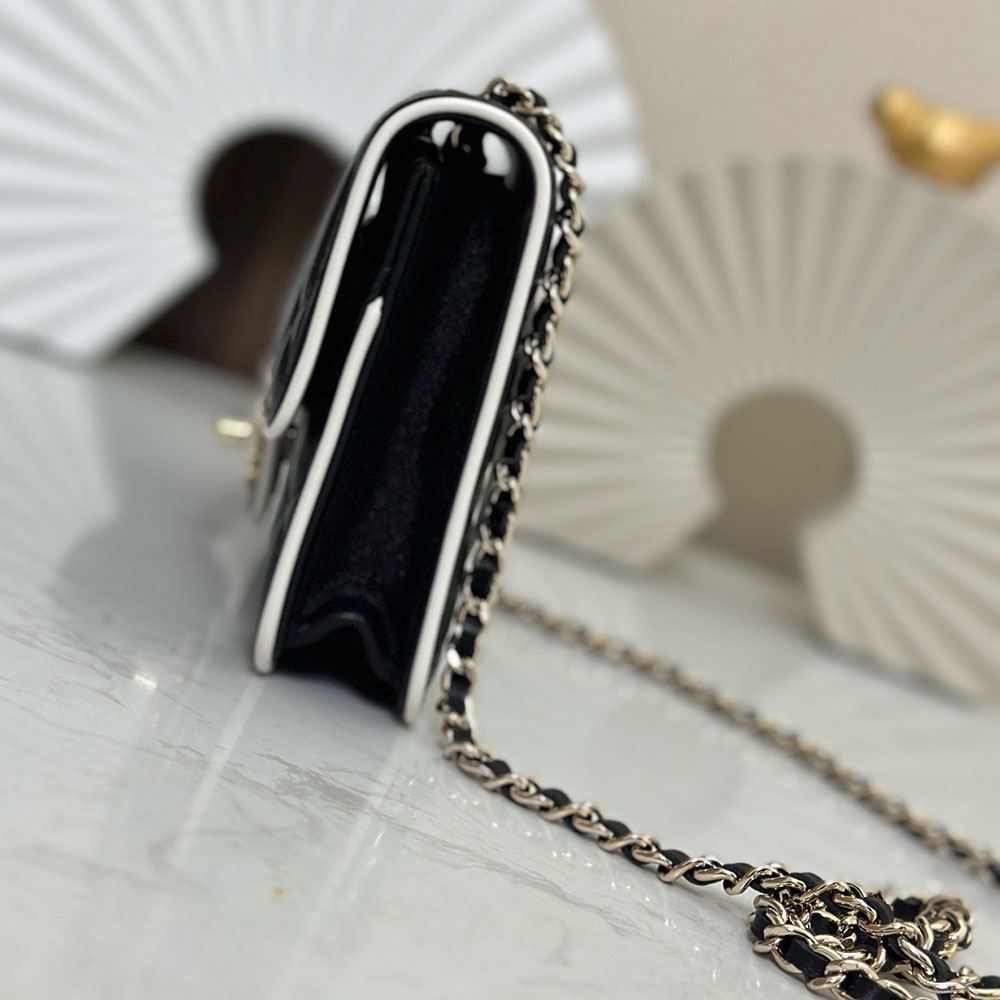 CHANEL スーパーコピー チェーンウォレット バイカラー バッグ AP4511 - 商品画像 10