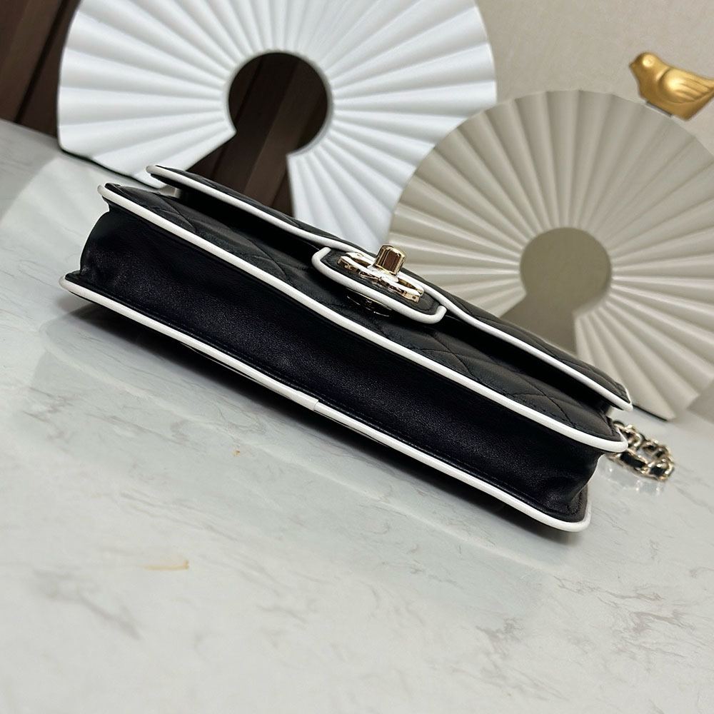 CHANEL スーパーコピー チェーンウォレット バイカラー バッグ AP4511 - 商品画像 6