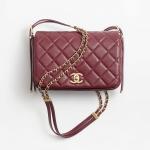 シャネル スーパーコピー スモール フラップ バッグ ブラウン AS4353 B13826 NN271 - 商品画像 7