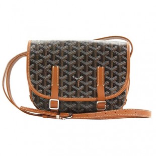 ゴヤールスーパーコピー ベルヴェデール ユニセックス ショルダーバッグ ブラック/ブラウン×シルバー金具 Goyard2020012 - 商品画像 2