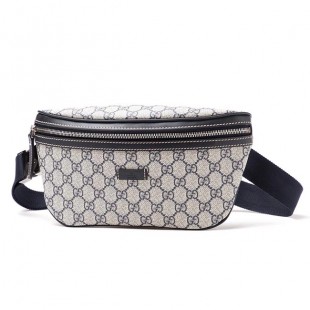 グッチ/GUCCI ボディバッグ GGプラス 233269 kgdix 4075 - 商品画像 2