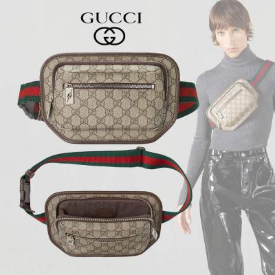 グッチスーパーコピーGG ベルトバッグ 760217 FACJN 9765 - 商品画像 2
