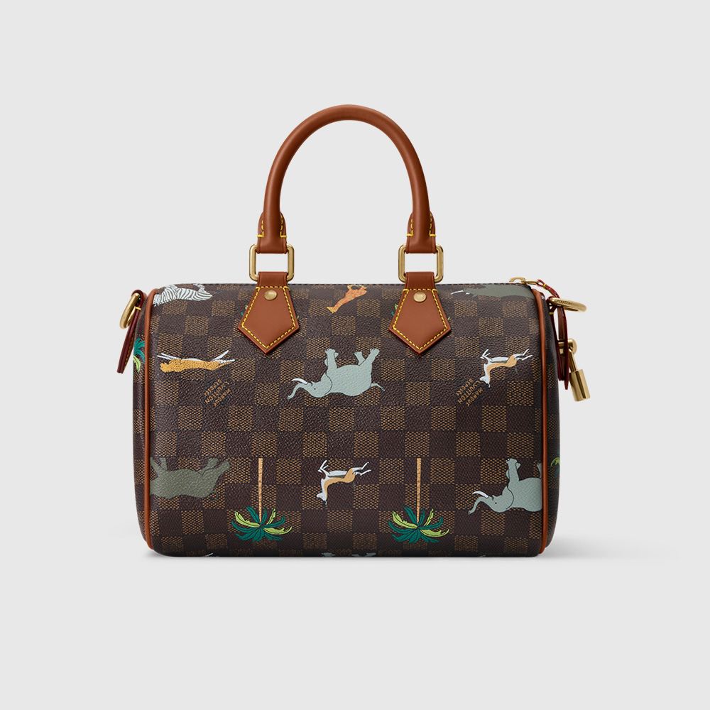 ヴィトンコピー LV × ザ・ダージリン リミテッド スピーディ・バンドリエール 25 N40857 - 商品画像 6